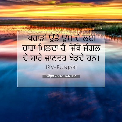 Picture 07 - ਅੱਯੂਬ 40:20 PANIRV - ਪਹਾੜਾਂ ਉੱਤੇ ਉਸ ਦੇ - Bible Verse Picture
