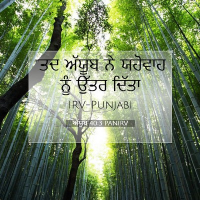Picture 07 - ਅੱਯੂਬ 40:3 PANIRV - “ਤਦ ਅੱਯੂਬ ਨੇ - Bible Verse Picture