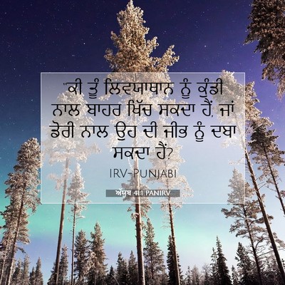 Picture 07 - ਅੱਯੂਬ 41:1 PANIRV - “ਕੀ ਤੂੰ ਲਿਵਯਾਥਾਨ - Bible Verse Picture