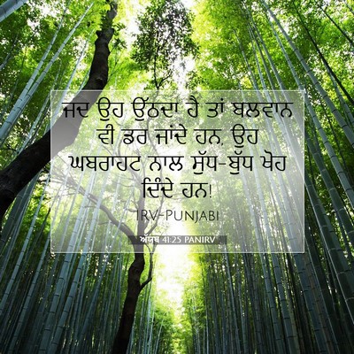 Picture 07 - ਅੱਯੂਬ 41:25 PANIRV - ਜਦ ਉਹ ਉੱਠਦਾ ਹੈ ਤਾਂ - Bible Verse Picture