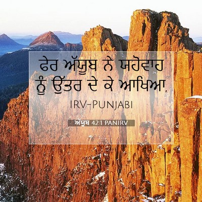 Picture 07 - ਅੱਯੂਬ 42:1 PANIRV - ਫੇਰ ਅੱਯੂਬ ਨੇ - Bible Verse Picture