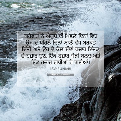Picture 07 - ਅੱਯੂਬ 42:12 PANIRV - ਯਹੋਵਾਹ ਨੇ ਅੱਯੂਬ ਦੀ - Bible Verse Picture