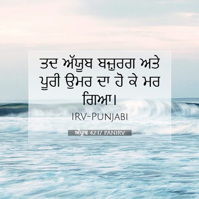 Picture 07 - ਅੱਯੂਬ 42:17 PANIRV - ਤਦ ਅੱਯੂਬ ਬਜ਼ੁਰਗ - Bible Verse Picture