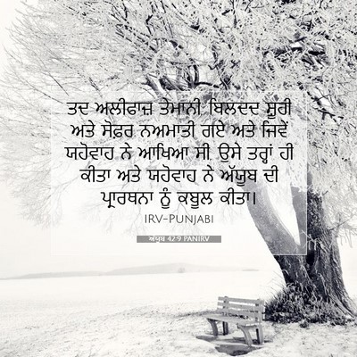 Picture 07 - ਅੱਯੂਬ 42:9 PANIRV - ਤਦ ਅਲੀਫਾਜ਼ ਤੇਮਾਨੀ, - Bible Verse Picture