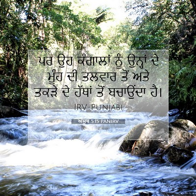 Picture 07 - ਅੱਯੂਬ 5:15 PANIRV - ਪਰ ਉਹ ਕੰਗਾਲਾਂ ਨੂੰ - Bible Verse Picture