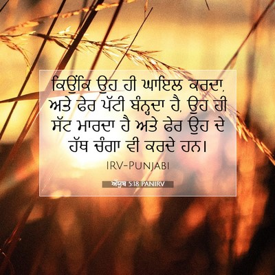 Picture 07 - ਅੱਯੂਬ 5:18 PANIRV - ਕਿਉਂਕਿ ਉਹ ਹੀ ਘਾਇਲ - Bible Verse Picture