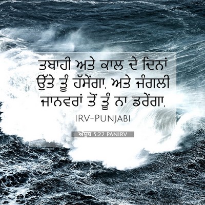 Picture 07 - ਅੱਯੂਬ 5:22 PANIRV - ਤਬਾਹੀ ਅਤੇ ਕਾਲ ਦੇ - Bible Verse Picture