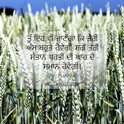 Picture 07 - ਅੱਯੂਬ 5:25 PANIRV - ਤੂੰ ਇਹ ਵੀ ਜਾਣੇਂਗਾ - Bible Verse Picture
