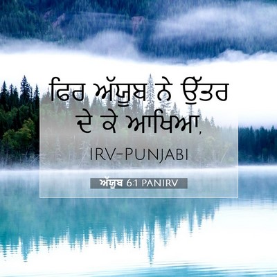 Picture 07 - ਅੱਯੂਬ 6:1 PANIRV - ਫਿਰ ਅੱਯੂਬ ਨੇ ਉੱਤਰ - Bible Verse Picture