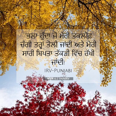 Picture 07 - ਅੱਯੂਬ 6:2 PANIRV - “ਭਲਾ ਹੁੰਦਾ ਜੋ ਮੇਰੀ - Bible Verse Picture