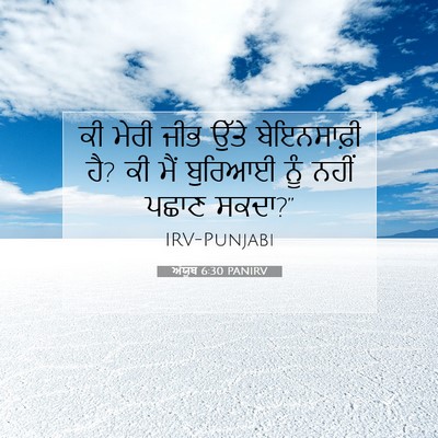 Picture 07 - ਅੱਯੂਬ 6:30 PANIRV - ਕੀ ਮੇਰੀ ਜੀਭ ਉੱਤੇ - Bible Verse Picture