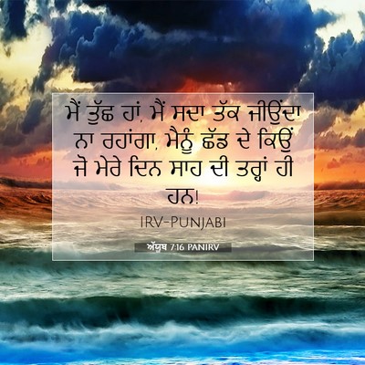 Picture 07 - ਅੱਯੂਬ 7:16 PANIRV - ਮੈਂ ਤੁੱਛ ਹਾਂ, ਮੈਂ - Bible Verse Picture