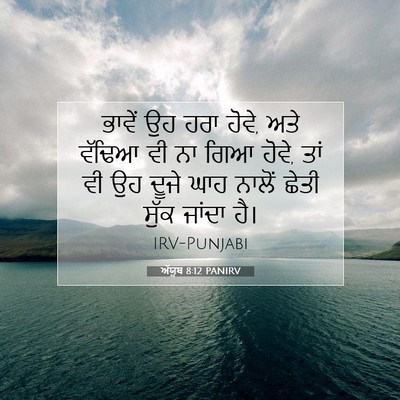 Picture 07 - ਅੱਯੂਬ 8:12 PANIRV - ਭਾਵੇਂ ਉਹ ਹਰਾ ਹੋਵੇ, - Bible Verse Picture