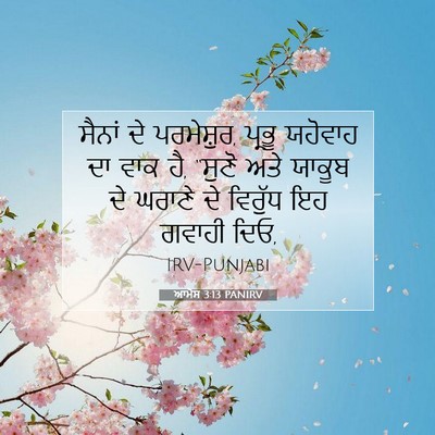 Picture 07 - ਆਮੋਸ 3:13 PANIRV - ਸੈਨਾਂ ਦੇ ਪਰਮੇਸ਼ੁਰ, - Bible Verse Picture