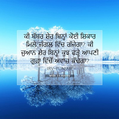 Picture 07 - ਆਮੋਸ 3:4 PANIRV - ਕੀ ਬੱਬਰ ਸ਼ੇਰ - Bible Verse Picture