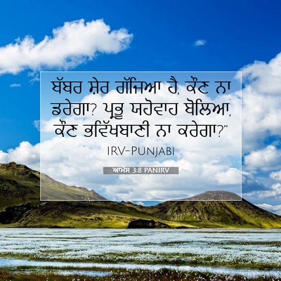 Picture 07 - ਆਮੋਸ 3:8 PANIRV - ਬੱਬਰ ਸ਼ੇਰ ਗੱਜਿਆ ਹੈ, - Bible Verse Picture