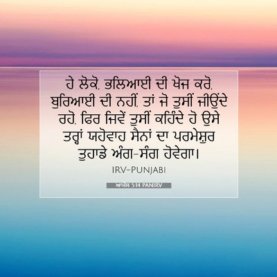 Picture 07 - ਆਮੋਸ 5:14 PANIRV - ਹੇ ਲੋਕੋ, ਭਲਿਆਈ ਦੀ - Bible Verse Picture