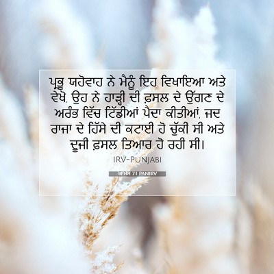 Picture 07 - ਆਮੋਸ 7:1 PANIRV - ਪ੍ਰਭੂ ਯਹੋਵਾਹ ਨੇ - Bible Verse Picture
