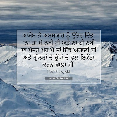 Picture 07 - ਆਮੋਸ 7:14 PANIRV - ਆਮੋਸ ਨੇ ਅਮਸਯਾਹ ਨੂੰ - Bible Verse Picture