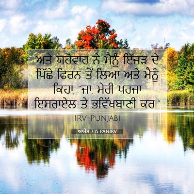 Picture 07 - ਆਮੋਸ 7:15 PANIRV - ਅਤੇ ਯਹੋਵਾਹ ਨੇ - Bible Verse Picture