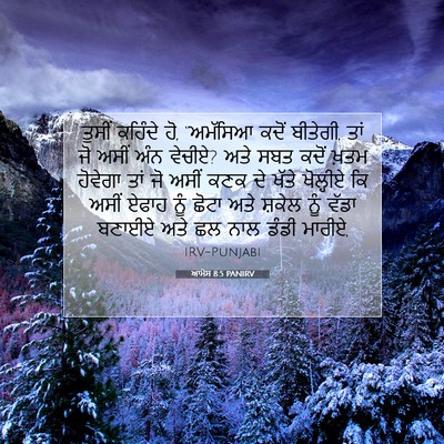 Picture 07 - ਆਮੋਸ 8:5 PANIRV - ਤੁਸੀਂ ਕਹਿੰਦੇ ਹੋ, - Bible Verse Picture