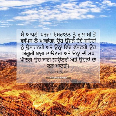 Picture 07 - ਆਮੋਸ 9:14 PANIRV - ਮੈਂ ਆਪਣੀ ਪਰਜਾ - Bible Verse Picture