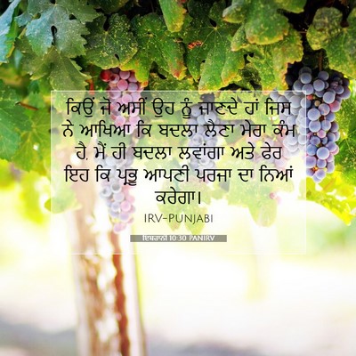 Picture 07 - ਇਬਰਾਨੀ 10:30 PANIRV - ਕਿਉਂ ਜੋ ਅਸੀਂ ਉਹ ਨੂੰ - Bible Verse Picture