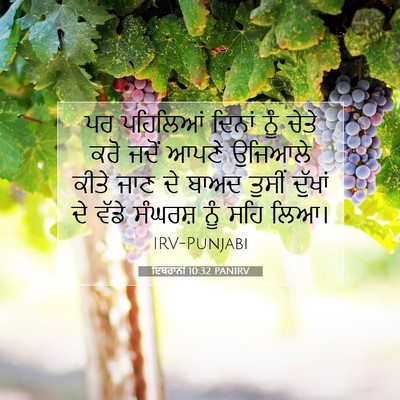 Picture 07 - ਇਬਰਾਨੀ 10:32 PANIRV - ਪਰ ਪਹਿਲਿਆਂ ਦਿਨਾਂ - Bible Verse Picture