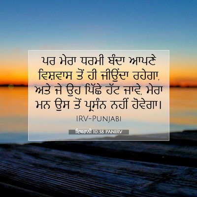 Picture 07 - ਇਬਰਾਨੀ 10:38 PANIRV - ਪਰ ਮੇਰਾ ਧਰਮੀ ਬੰਦਾ - Bible Verse Picture