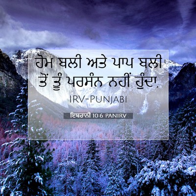 Picture 07 - ਇਬਰਾਨੀ 10:6 PANIRV - ਹੋਮ ਬਲੀ ਅਤੇ ਪਾਪ ਬਲੀ - Bible Verse Picture