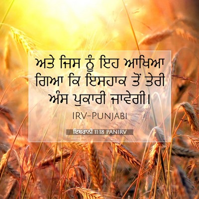 Picture 07 - ਇਬਰਾਨੀ 11:18 PANIRV - ਅਤੇ ਜਿਸ ਨੂੰ ਇਹ ਆਖਿਆ - Bible Verse Picture
