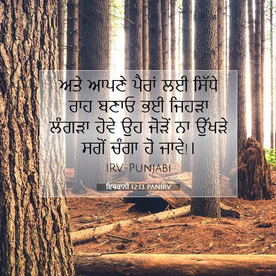 Picture 07 - ਇਬਰਾਨੀ 12:13 PANIRV - ਅਤੇ ਆਪਣੇ ਪੈਰਾਂ ਲਈ - Bible Verse Picture