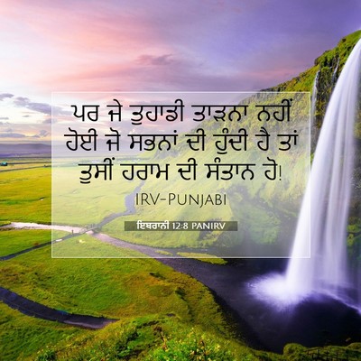 Picture 07 - ਇਬਰਾਨੀ 12:8 PANIRV - ਪਰ ਜੇ ਤੁਹਾਡੀ ਤਾੜਨਾ - Bible Verse Picture