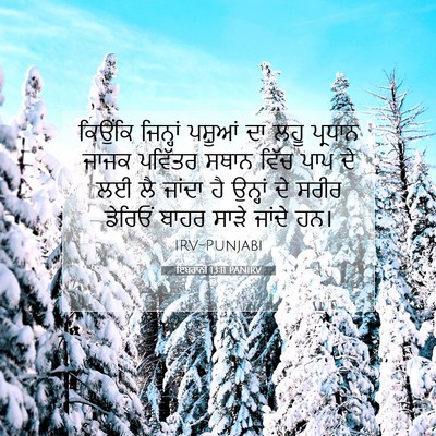 Picture 07 - ਇਬਰਾਨੀ 13:11 PANIRV - ਕਿਉਂਕਿ ਜਿਨ੍ਹਾਂ - Bible Verse Picture