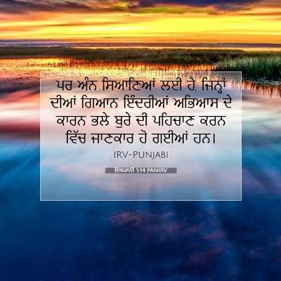 Picture 07 - ਇਬਰਾਨੀ 5:14 PANIRV - ਪਰ ਅੰਨ ਸਿਆਣਿਆਂ ਲਈ - Bible Verse Picture