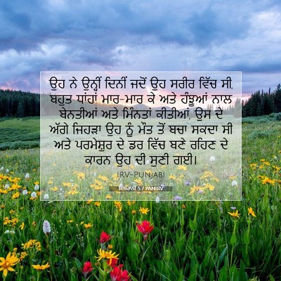Picture 07 - ਇਬਰਾਨੀ 5:7 PANIRV - ਉਹ ਨੇ ਉਨ੍ਹੀਂ ਦਿਨੀਂ - Bible Verse Picture