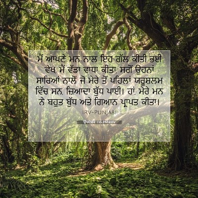 Picture 07 - ਉਪਦੇਸ਼ਕ 1:16 PANIRV - ਮੈਂ ਆਪਣੇ ਮਨ ਨਾਲ ਇਹ - Bible Verse Picture