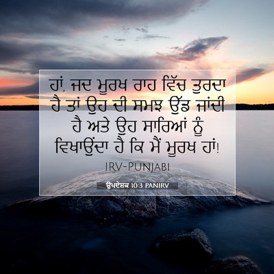 Picture 07 - ਉਪਦੇਸ਼ਕ 10:3 PANIRV - ਹਾਂ, ਜਦ ਮੂਰਖ ਰਾਹ - Bible Verse Picture