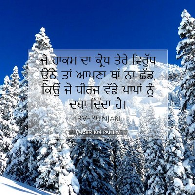Picture 07 - ਉਪਦੇਸ਼ਕ 10:4 PANIRV - ਜੇ ਹਾਕਮ ਦਾ ਕ੍ਰੋਧ - Bible Verse Picture