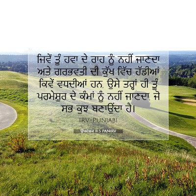 Picture 07 - ਉਪਦੇਸ਼ਕ 11:5 PANIRV - ਜਿਵੇਂ ਤੂੰ ਹਵਾ ਦੇ - Bible Verse Picture