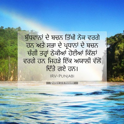 Picture 07 - ਉਪਦੇਸ਼ਕ 12:11 PANIRV - ਬੁੱਧਵਾਨਾਂ ਦੇ ਬਚਨ - Bible Verse Picture