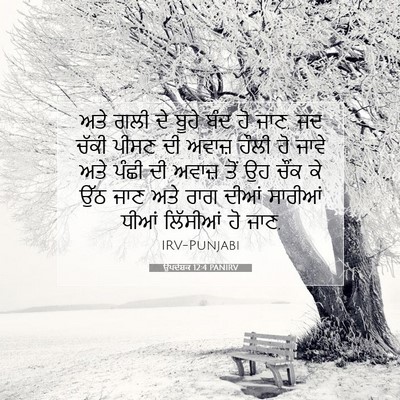Picture 07 - ਉਪਦੇਸ਼ਕ 12:4 PANIRV - ਅਤੇ ਗਲੀ ਦੇ ਬੂਹੇ ਬੰਦ - Bible Verse Picture