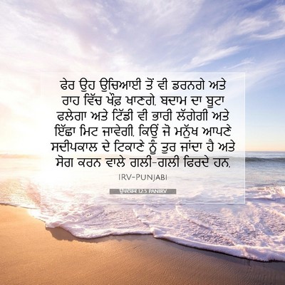 Picture 07 - ਉਪਦੇਸ਼ਕ 12:5 PANIRV - ਫੇਰ ਉਹ ਉਚਿਆਈ ਤੋਂ ਵੀ - Bible Verse Picture