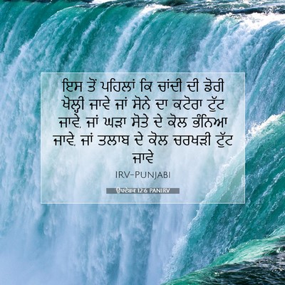 Picture 07 - ਉਪਦੇਸ਼ਕ 12:6 PANIRV - ਇਸ ਤੋਂ ਪਹਿਲਾਂ ਕਿ - Bible Verse Picture