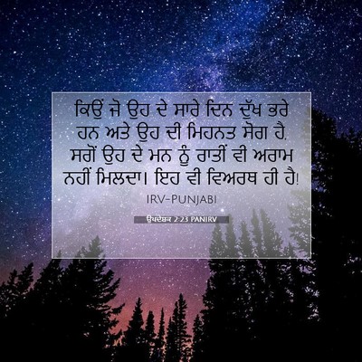 Picture 07 - ਉਪਦੇਸ਼ਕ 2:23 PANIRV - ਕਿਉਂ ਜੋ ਉਹ ਦੇ ਸਾਰੇ - Bible Verse Picture