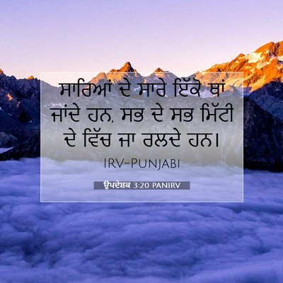 Picture 07 - ਉਪਦੇਸ਼ਕ 3:20 PANIRV - ਸਾਰਿਆਂ ਦੇ ਸਾਰੇ - Bible Verse Picture