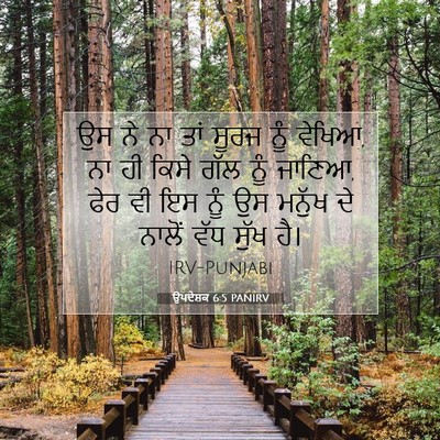 Picture 07 - ਉਪਦੇਸ਼ਕ 6:5 PANIRV - ਉਸ ਨੇ ਨਾ ਤਾਂ ਸੂਰਜ - Bible Verse Picture