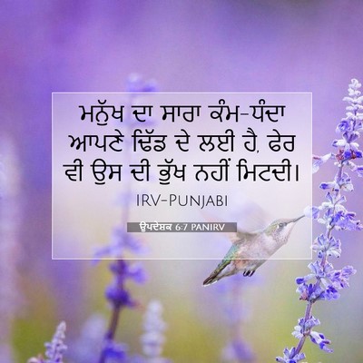 Picture 07 - ਉਪਦੇਸ਼ਕ 6:7 PANIRV - ਮਨੁੱਖ ਦਾ ਸਾਰਾ - Bible Verse Picture