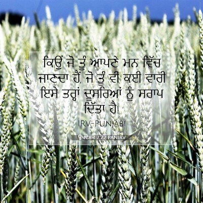 Picture 07 - ਉਪਦੇਸ਼ਕ 7:22 PANIRV - ਕਿਉਂ ਜੋ ਤੂੰ ਆਪਣੇ ਮਨ - Bible Verse Picture