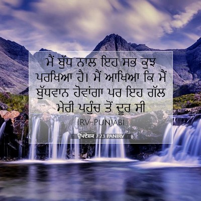 Picture 07 - ਉਪਦੇਸ਼ਕ 7:23 PANIRV - ਮੈਂ ਬੁੱਧ ਨਾਲ ਇਹ ਸਭ - Bible Verse Picture